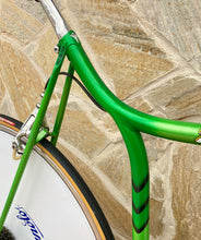 Load image into Gallery viewer, Rino Boschetti Crono Lo Pro TT Bike