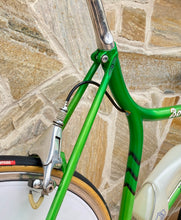 Load image into Gallery viewer, Rino Boschetti Crono Lo Pro TT Bike