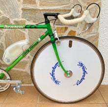 Load image into Gallery viewer, Rino Boschetti Crono Lo Pro TT Bike