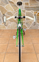Load image into Gallery viewer, Rino Boschetti Crono Lo Pro TT Bike