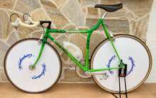Load image into Gallery viewer, Rino Boschetti Crono Lo Pro TT Bike