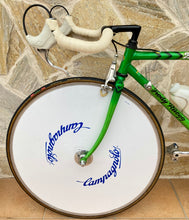 Load image into Gallery viewer, Rino Boschetti Crono Lo Pro TT Bike