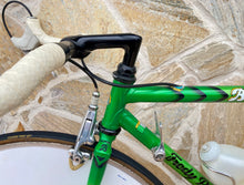 Load image into Gallery viewer, Rino Boschetti Crono Lo Pro TT Bike