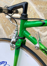 Load image into Gallery viewer, Rino Boschetti Crono Lo Pro TT Bike