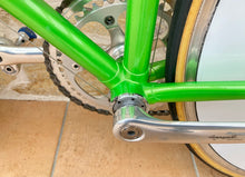 Load image into Gallery viewer, Rino Boschetti Crono Lo Pro TT Bike