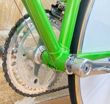 Load image into Gallery viewer, Rino Boschetti Crono Lo Pro TT Bike