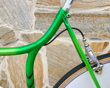 Load image into Gallery viewer, Rino Boschetti Crono Lo Pro TT Bike