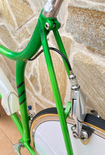 Load image into Gallery viewer, Rino Boschetti Crono Lo Pro TT Bike