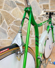 Load image into Gallery viewer, Rino Boschetti Crono Lo Pro TT Bike