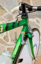 Load image into Gallery viewer, Rino Boschetti Crono Lo Pro TT Bike