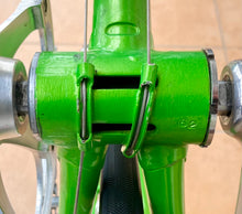 Load image into Gallery viewer, Rino Boschetti Crono Lo Pro TT Bike