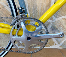 Load image into Gallery viewer, 1991 Cannondale SR 1000 "Pro Series" Road Race Bike