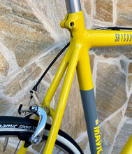 Load image into Gallery viewer, 1991 Cannondale SR 1000 "Pro Series" Road Race Bike
