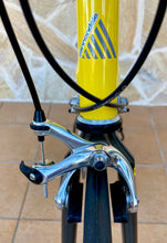 Load image into Gallery viewer, 1991 Cannondale SR 1000 "Pro Series" Road Race Bike