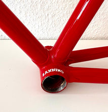 Load image into Gallery viewer, Cicli Sannino Lo Pro Crono TT Frameset