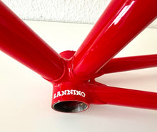 Load image into Gallery viewer, Cicli Sannino Lo Pro Crono TT Frameset