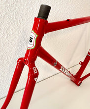 Load image into Gallery viewer, Cicli Sannino Lo Pro Crono TT Frameset
