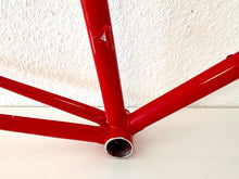 Load image into Gallery viewer, Cicli Sannino Lo Pro Crono TT Frameset