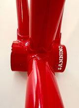 Load image into Gallery viewer, Cicli Sannino Lo Pro Crono TT Frameset