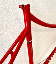 Load image into Gallery viewer, Cicli Sannino Lo Pro Crono TT Frameset