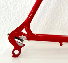 Load image into Gallery viewer, Cicli Sannino Lo Pro Crono TT Frameset