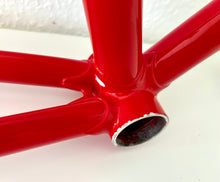 Load image into Gallery viewer, Cicli Sannino Lo Pro Crono TT Frameset