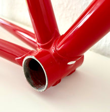 Load image into Gallery viewer, Cicli Sannino Lo Pro Crono TT Frameset