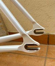 Load image into Gallery viewer, 55cm Chesini Pista Frameset