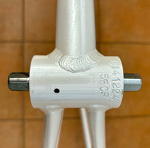 Load image into Gallery viewer, 55cm Chesini Pista Frameset