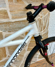 Load image into Gallery viewer, 1992 Cannondale Delta V 1000 MTB