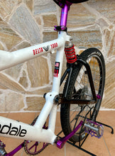 Load image into Gallery viewer, 1992 Cannondale Delta V 1000 MTB