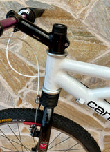 Load image into Gallery viewer, 1992 Cannondale Delta V 1000 MTB