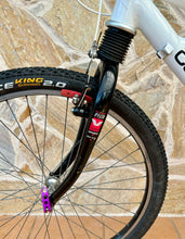 Load image into Gallery viewer, 1992 Cannondale Delta V 1000 MTB