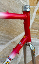 Load image into Gallery viewer, 59cm Cicli Mondonico SLX Frameset