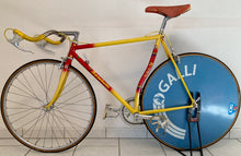 Load image into Gallery viewer, Cicli Rino Boschetti Vintage Lo Pro Crono Bike