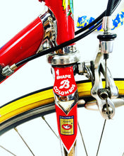 Load image into Gallery viewer, Boschetti MultiShape Vintage Road Race Bike