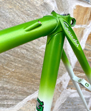 Load image into Gallery viewer, 58cm Grandis Vintage Crono Lo Pro Pursuit Frame