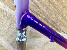 Load image into Gallery viewer, 58cm Paletti Reparto Corse NOS frameset