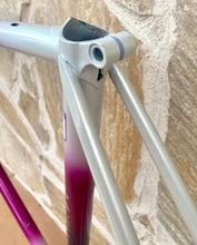 Load image into Gallery viewer, 58cm Paletti Reparto Corse NOS frameset