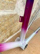 Load image into Gallery viewer, 58cm Paletti Reparto Corse NOS frameset