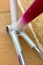 Load image into Gallery viewer, 58cm Paletti Reparto Corse NOS frameset