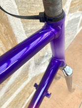 Load image into Gallery viewer, 58cm Paletti Reparto Corse NOS frameset