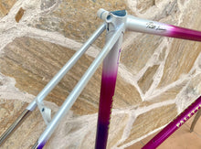 Load image into Gallery viewer, 58cm Paletti Reparto Corse NOS frameset