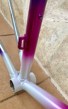 Load image into Gallery viewer, 58cm Paletti Reparto Corse NOS frameset