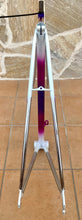 Load image into Gallery viewer, 58cm Paletti Reparto Corse NOS frameset