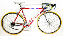 Load image into Gallery viewer, Boschetti MultiShape Vintage Road Race Bike
