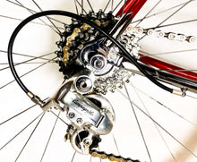 Load image into Gallery viewer, Boschetti MultiShape Vintage Road Race Bike