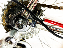 Load image into Gallery viewer, Boschetti MultiShape Vintage Road Race Bike