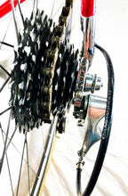 Load image into Gallery viewer, Boschetti MultiShape Vintage Road Race Bike