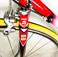 Load image into Gallery viewer, Boschetti MultiShape Vintage Road Race Bike